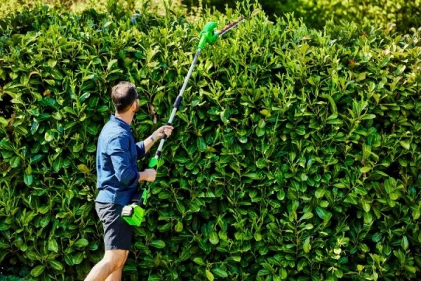 (У) Дачный август